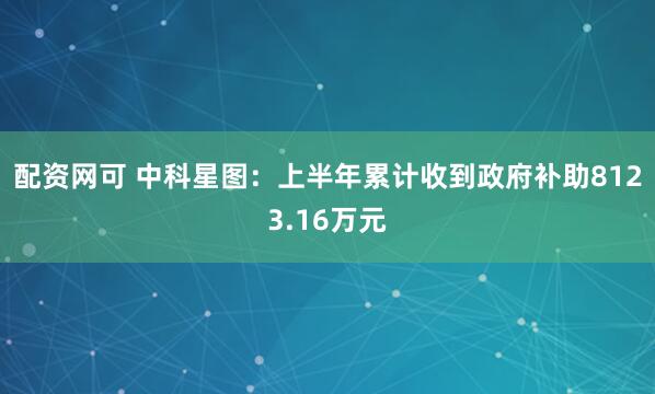 配资网可 中科星图：上半年累计收到政府补助8123.16万元